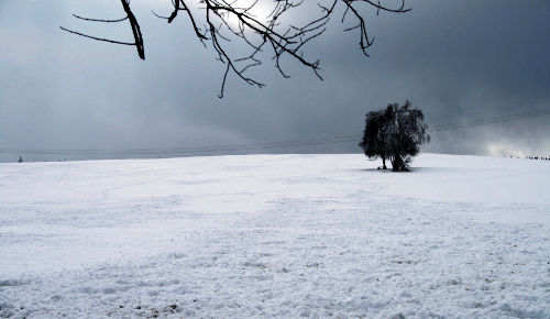 Winterlandschaft im Harz