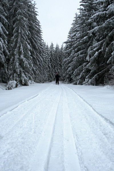 Wandern im Winter